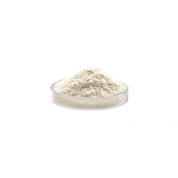 Lumbrukinase